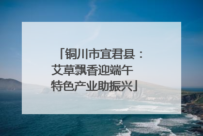 铜川市宜君县：艾草飘香迎端午 特色产业助振兴